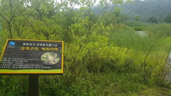 경기도 연천군 민통선 내 '임진강 평화습지원'. 전익진 기자