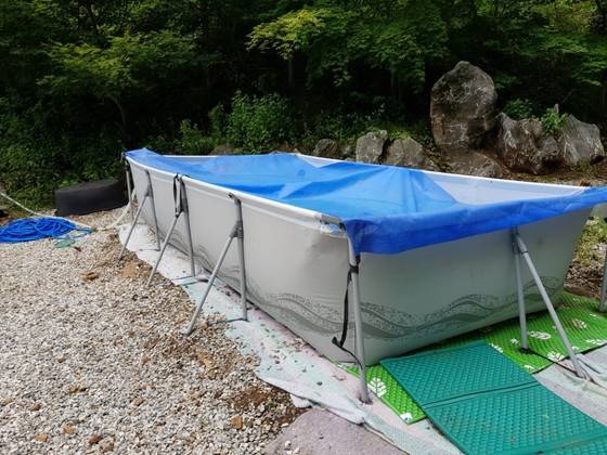 충북 제천 묘재마을 뒷 산에 있는 이 펜션에서 주말마다 누드 동호회 회원들의 파티가 벌어진다고 한다. 최종권 기자