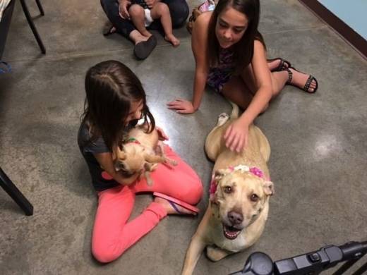 이같은 소식이 전해진 보호소의 페이스북 페이지에는 감사와 안도의 목소리가 전해지고 있다.