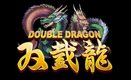 더블드래곤 시리즈