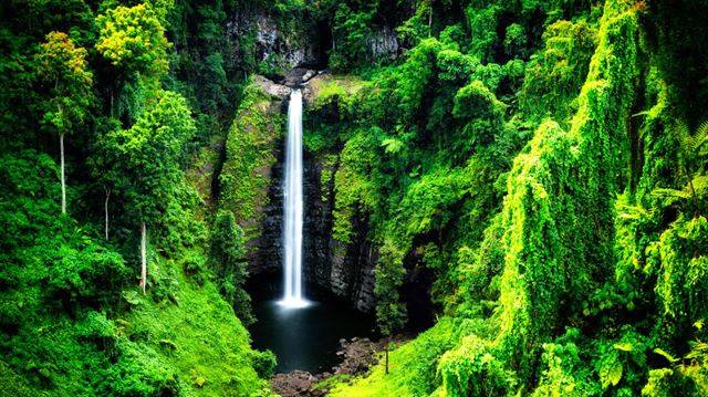 사모아의 아름다운 자연.