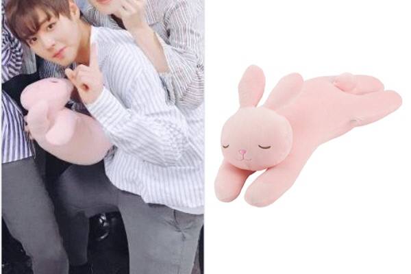 박지훈이 선물받은 토끼 인형이 품절사태를 일으켰다. 사진 미니소 제공.