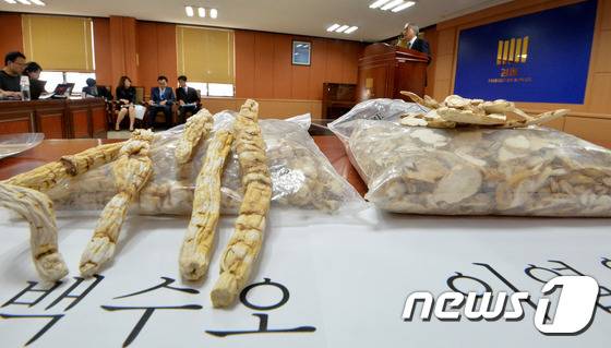 .© News1 이재명 기자