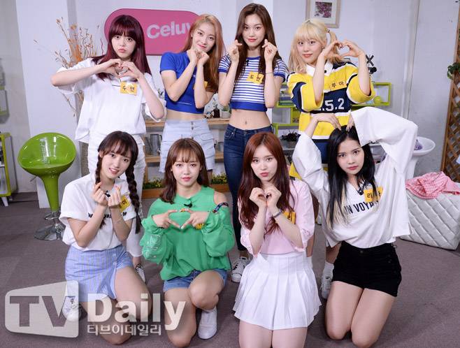 위키미키