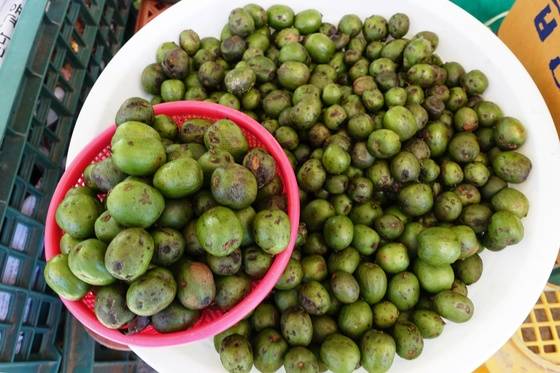 서울양양고속도로 동홍천IC 부근 화촌면에서 왔다는 할머니가 가지고 나온 다래. 한 바구니에 5000원을 받았다. 야생버섯이 나올 무렵 다래도 익는다. 다래는 키위의 야생 원시종이다.