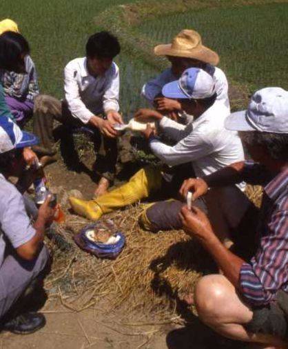 경북의 한 농촌에서 농부들이 막걸리를 나눠 마시고 있다. [중앙포토]