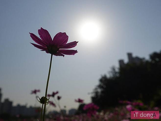 소니 RX100 마크4로 촬영한 사진