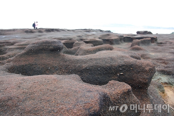 사계포구 인근 하모리층과 해안사구/사진=김유경 기자