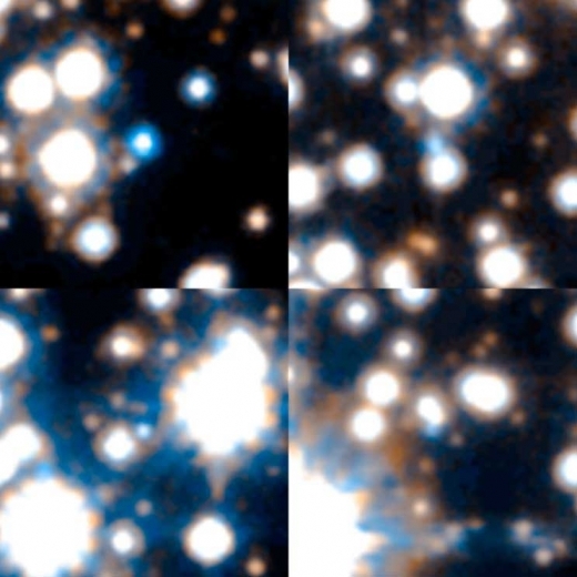 4개의 백색왜성. 각 사진의 가운데 파란 점 / NASA/ESA/STScI/SWEEPS Science Team