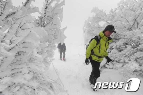 뉴스1 © News1 이석형 기자