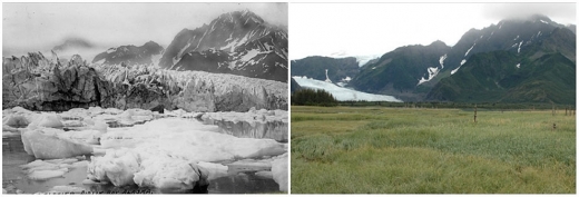 1. 페데르센 빙하(알래스카). 1917년 여름 - 2005년 여름