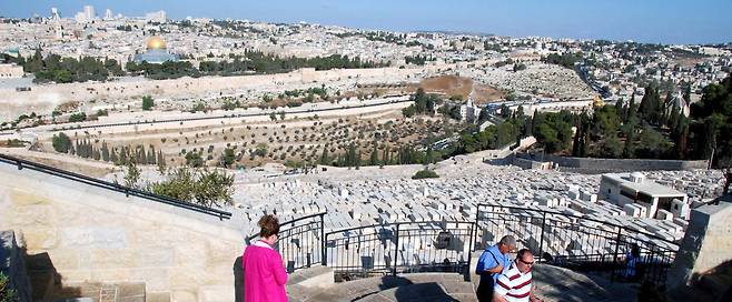 펜스 뒤에 보이는 네모난 하얀 돌들이 올리브산의 묘지다. 묘지 오른편에 올리브 나무들이 보인다. 산 건너편에는 멀리 황금색 돔의 예루살렘 성전이 보인다. 지금은 이슬람 사원으로 쓰이고 있다.