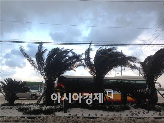 24일 제주의 하늘은 이따금 햇볕이 내리며 맑게 갠 모습을 하는 등 변덕스러운 모습이었다.