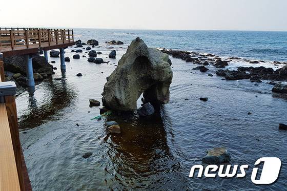 호미 반도해안둘레 길은 아름다운 해안을 따라 기암절벽과 파도 소리를 들으며 무념으로 한나절 걸을 수 있는 힐링로드로 각종 사물을 닮은 바위들이 신비감을 더한다. 사진은 킹콩바위(포항시 제공) © News1travel