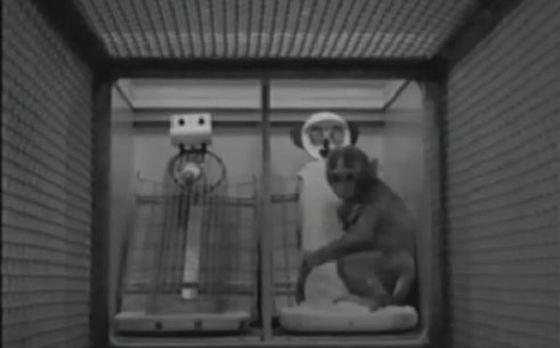 해리 할로우의 원숭이 애착 실험 영상. (Youtube 영상 갈무리) © News1