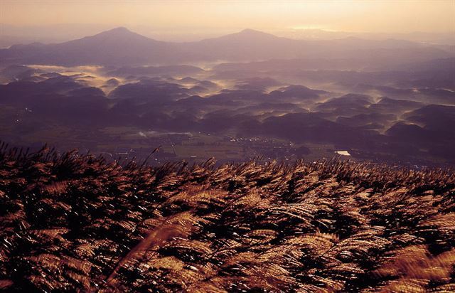 신불산 억새 군락 아래로 올망졸망한 능선이 펼쳐진다. 한국관광공사 제공.