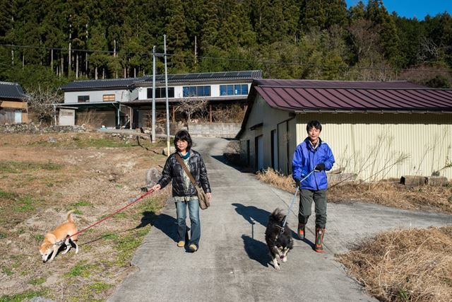방사능 오염이 심해 사람이 살지 못하는 후쿠시마 이다테를 찾은 자원봉사자들이 남겨진 반려동물들을 산책시키고 있다. 피에르 엠마뉴엘 델레트헤 프리랜서 기자 pe.deletree@gmail.com