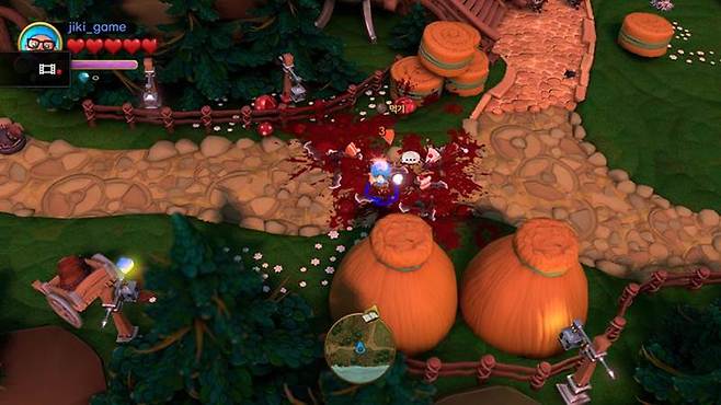 펫프린세스어드벤처스13