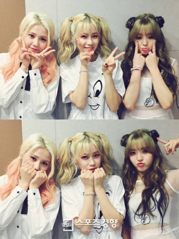 AOA 크림