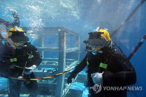 수중 훈련하는 한미 연합 해군 (창원=연합뉴스) 오태인 기자 = 16일 오후 경남 창원시 진해구 해군교육사령부에서 한미 해군이 항만 피해를 가장한 수중 건선 훈련을 하고 있다. 이날 훈련은 키 리졸브 한미연합훈련 중 하나로 실시됐다. 2016.3.16 five@yna.co.kr