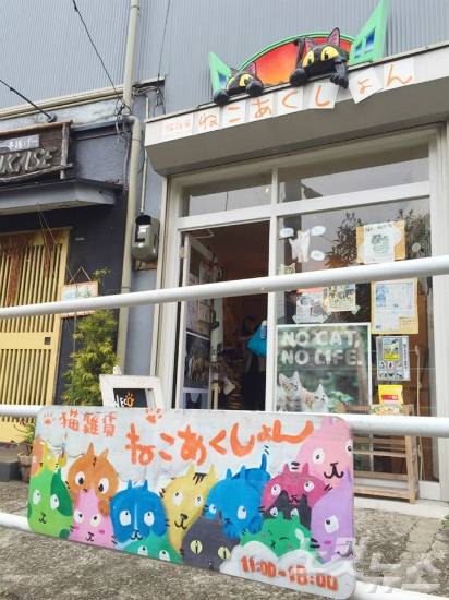 야나카 긴자 초입에 자리한 고양이용품 숍. (사진=윤슬빈 기자)