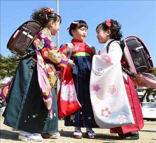 (오후나토=교도 연합뉴스 자료사진) 일본 도호쿠(東北)지방 이와테현 오후나토시 시립 료리초등학교 학생 1학년생들이 4월 1일 새 란도셀을 메고 등교하고 있다.
