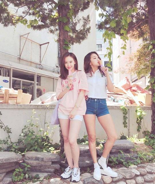 다솜