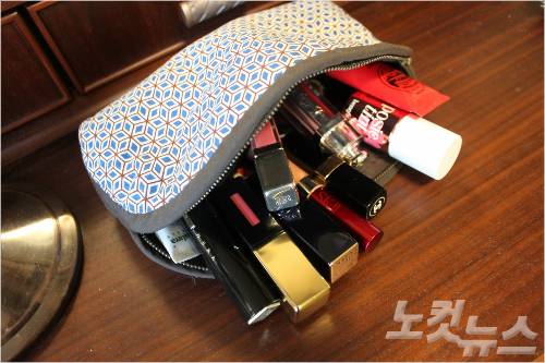 여성들의 파우치 속을 들여다 보면 립 제품 2~3개 쯤은 쉽게 찾아볼수 있다. 그만큼 립 제품은 여성들의 필수품이다.