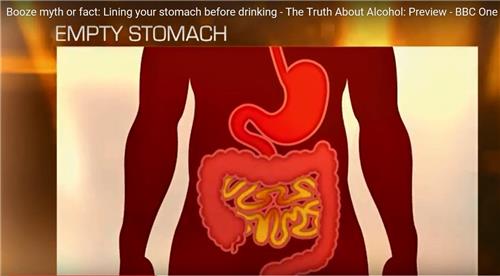 알코올은 대부분 소장(그림 노란색 부분)에서 흡수된다.(BBC방송 유튜브화면 캡처)