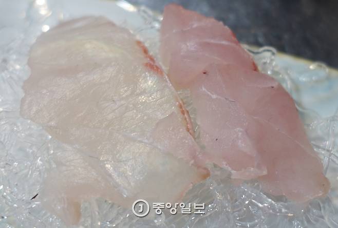 활어(왼쪽)와 선어의 같은 부위 몸통살인데 조직감의 차이가 사진으로도 보인다.