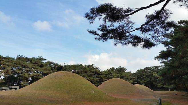 HDR을 켜고 찍은 경주 남산의 삼릉