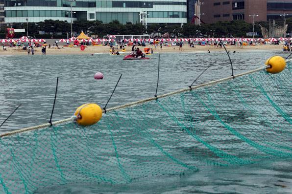 해파리 차단용 그물이 해운대 해수욕장 앞바다에 설치돼 있다.