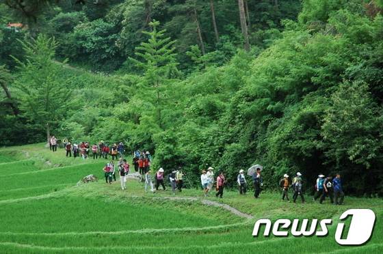 신사임당길(한국관광공사 제공) © News1