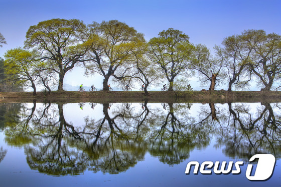 은상 '반곡지의 봄 풍경' © News1