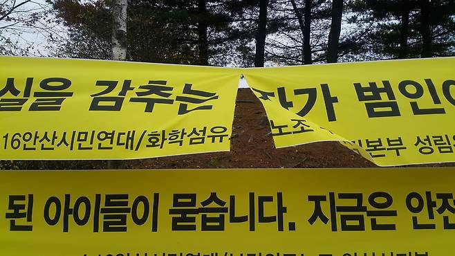 13일 오전 세월호 희생자 정부합동소 주변에 내걸린 펼침막이 대량 훼손된 채 발견됐다.