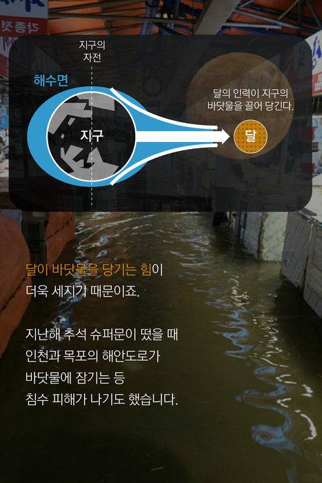 달이 바닷물을 당기는 힘이 더욱 세지기 때문이죠. 지난해 추석 슈퍼문이 떴을 때 인천과 목포의 해안도로가 바닷물에 잠기는 등 침수 피해가 나기도 했습니다.