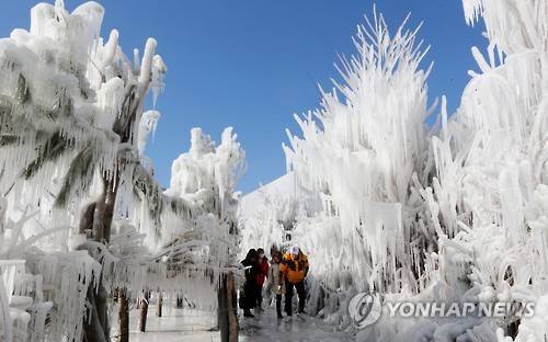 (인제=연합뉴스) 이재현 기자 = 오는 21일 개막하는 '제17회 인제 빙어축제'가 닷새 앞으로 다가온 16일 축제장을 미리 찾은 관광객들이 인제군 남면 부평리 빙어호 인근 축제장에 조성된 '은빛 나라'에서 겨울 추억을 만들고 있다. 2017.1.16 jlee@yna.co.kr
