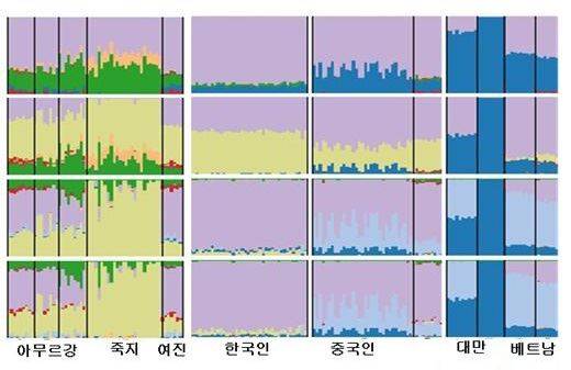 신석기 시대 전후 동아시아인들의 유전자 구성 변화를 컴퓨터 시뮬레이션으로 추측해본 결과. 아랫줄로 갈수록 현대와 가까운 시기다. 한국인의 왼쪽은 북방계, 오른쪽은 남방계 인족(인종집단)이다. 색이 여러 가지일수록 다양한 유전자가 섞였다는 의미다. 한국인은 다른 인족에 비해 유전자 구성이 단순하고, 현대와 가까워질수록 남방계와 더 비슷해진다. 울산과학기술원(UNIST) 제공