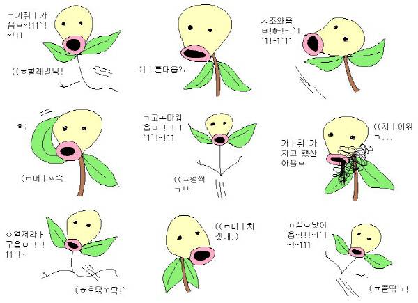 사진|트위터 갈무리