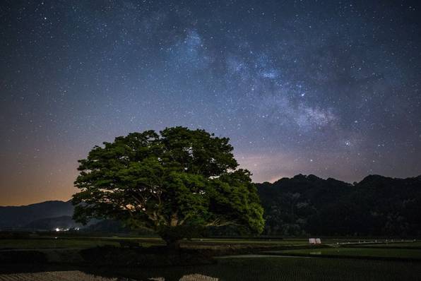 사진 : 유광현 씨 제공 (블로그 http://blog.naver.com/twimnets)