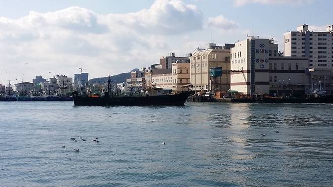지난 8일 경남 통영시 정량동의 동호항에 한 어선이 입항하고 있다. 김영동 기자
