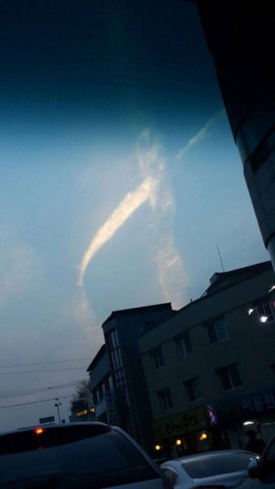 온라인 커뮤니티 캡처