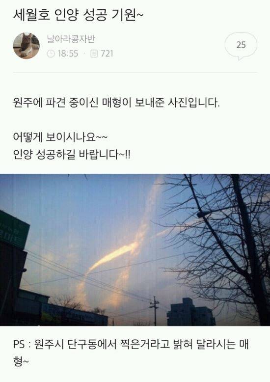 온라인 커뮤니티 캡처