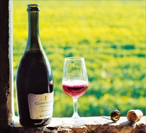 유명한 람브루스코 와인 ‘콘체르토’. 메디치 에르메테  제공