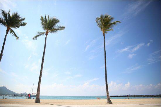 사람이 없고, 조용한 조깅코스를 원한다면 힐튼 하와이안 빌리지 앞의 라군을 추천한다. (사진= 허니문리조트 제공)