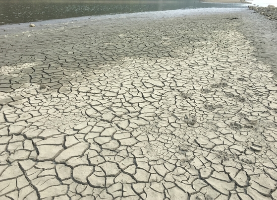 몇 달째 이어지고 있는 극심함 가뭄으로 충남 서북부지역 상수원인 보령댐의 바닥이 드러났다. 18일 오후 6시 기준 보령댐 저수율은 역대 최저인 9.1%에 불과하다. [사진 보령시]