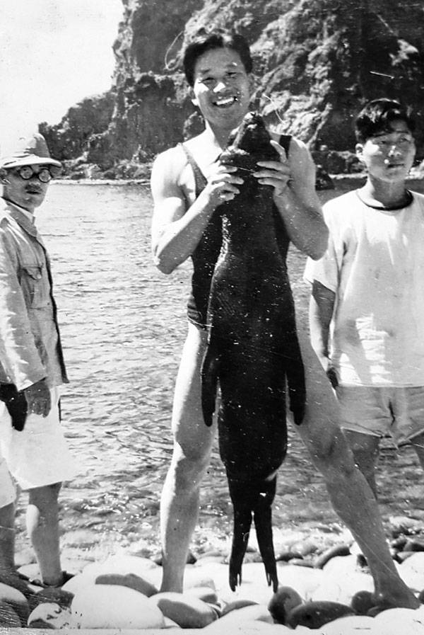 1947년 8월 20일‘울릉도·독도 학술 조사’에 동행한 조선산악회 회원 남행수씨가 독도에서 강치 새끼를 들어올리고 있다. 과도정부는 조선산악회와 함께 광복 후 첫 울릉도·독도 학술 조사를 진행했다. /정병준 교수