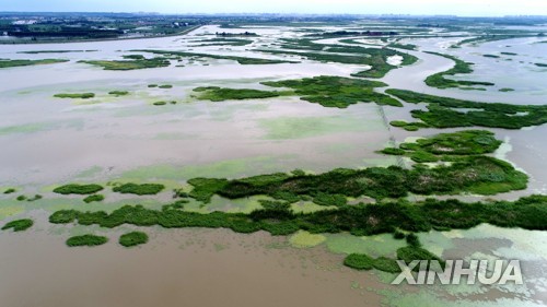 중국 헤이룽장성 하얼빈시 외곽의 민주 마을의 빈장 습지 일대가 물로 뒤덮였다.