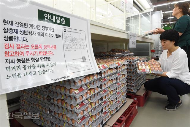 지난 16일 서울 농협하나로마트 양재에서 소비자들이 국립농산물 품질관리원으로부터 살충제 성분검사 결과 이상이 없는 계란을 살펴보고 있다. 배우한 기자