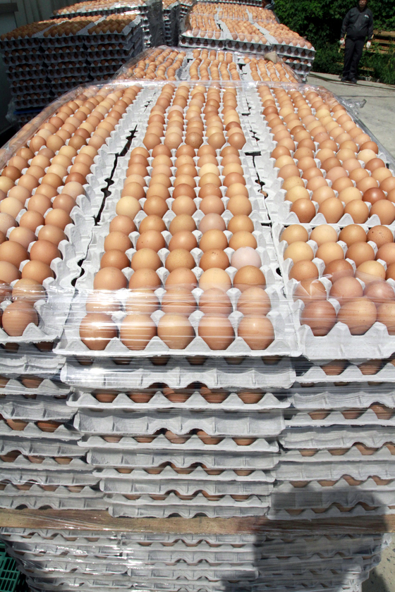 18일 오후 경남 창녕군 유어면 산란계 농장에서 살충제 성분이 기준치를 초과한 계란이  폐기 처분 대기 중이다. 이날 농림수산식품부는 '살충제 계란'이 검출된 농가 13곳이 추가 확인돼 총 45개 농장으로 늘었다고 밝혔다. 2017.8.18/뉴스1  <저작권자 © 뉴스1코리아, 무단전재 및 재배포 금지>